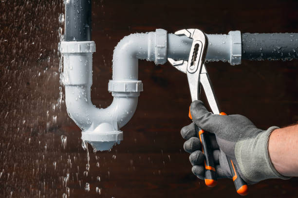 Professional Emergency Plumber technician working in Dansville, MI